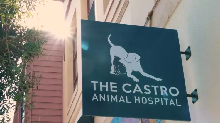 The Castro Animal Hospital, California, San Francisco